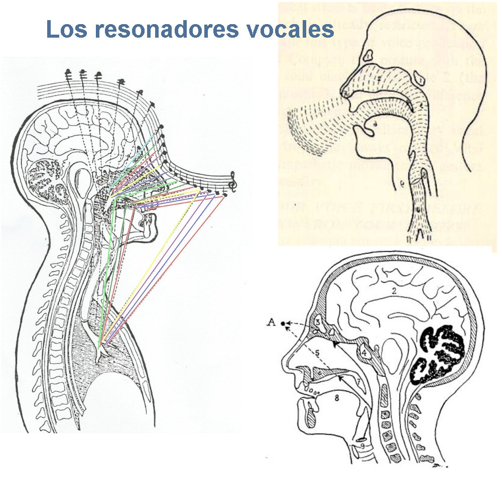 Los Resonadores