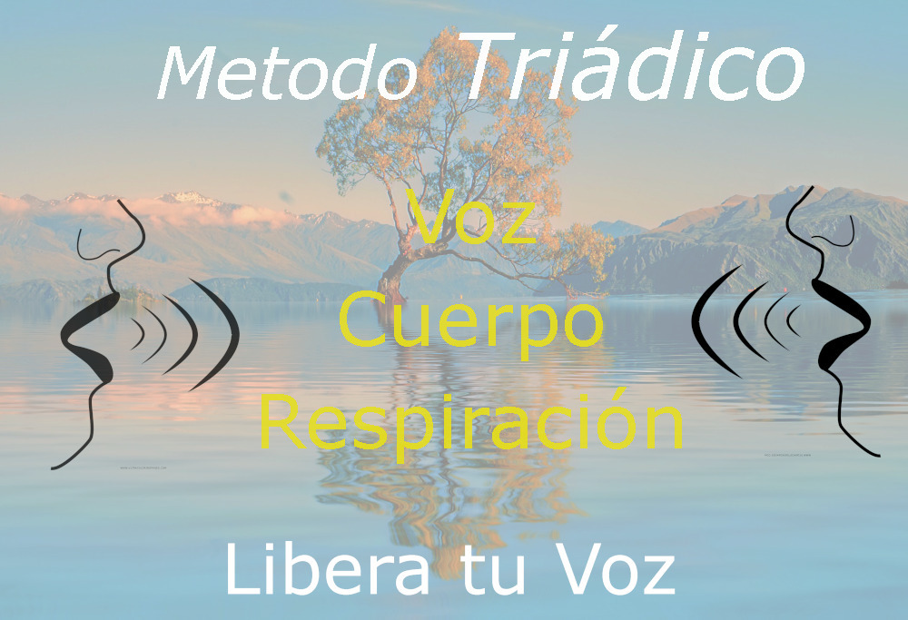 Método triádico