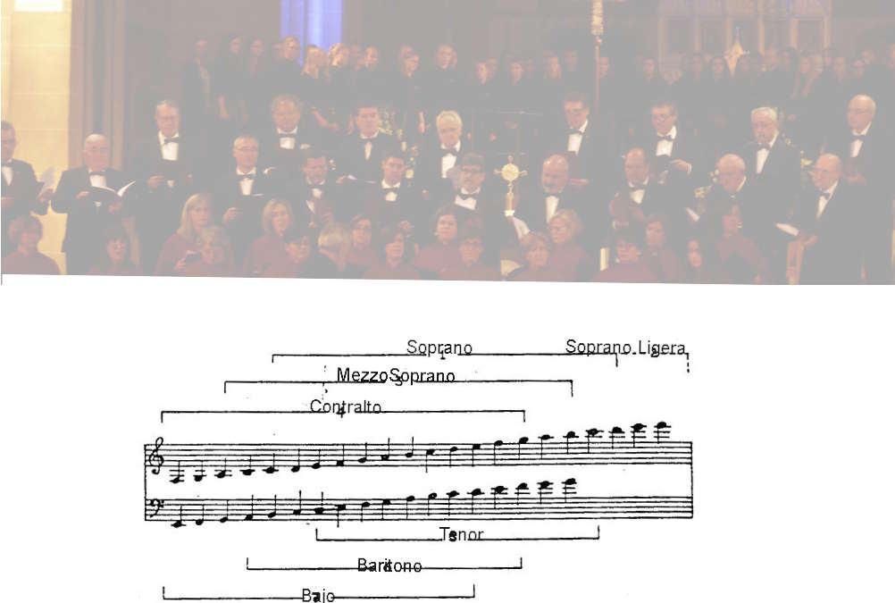 Clasificación de las voces