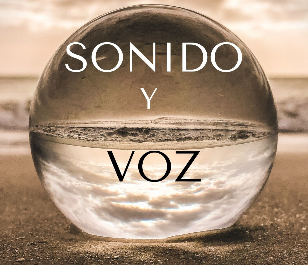 El sonido y la voz